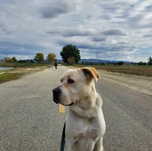 Meet your Posher, Kwok